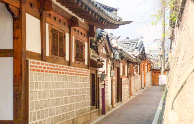 Seoul zombie city exploration game and private tour - Image 3